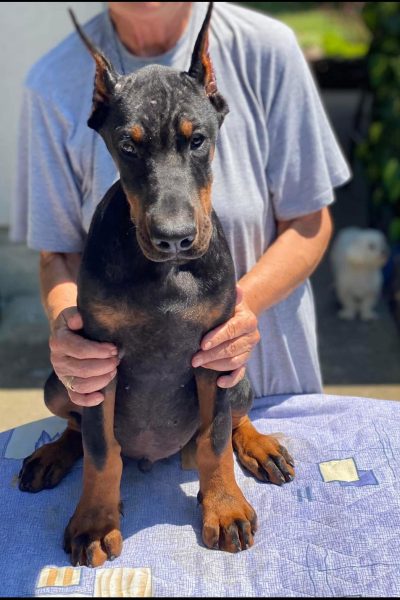 IMG-f03de47e245222ab65e403d1361a69ea-V